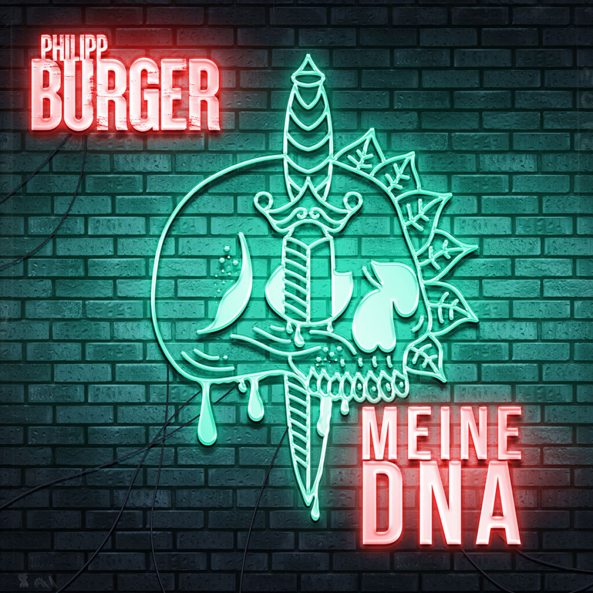Meine DNA Diskographie Philipp Burger Official