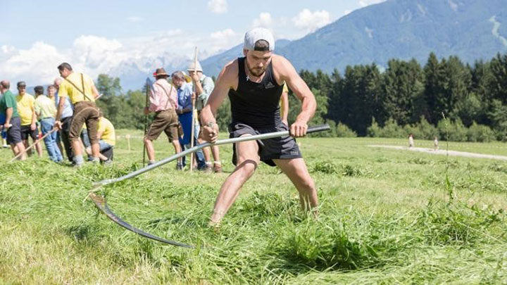 Bild Südtiroler Bauernjugend – Song Bild Südtiroler Bauernjugend – Song